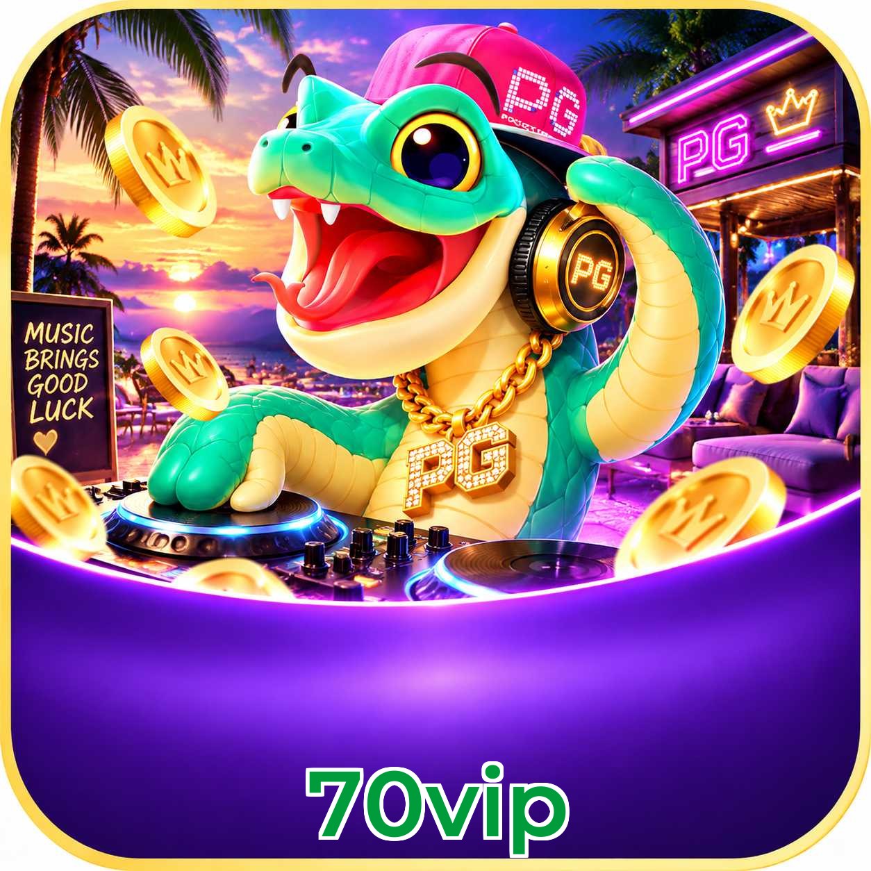 70vip Security Analysis